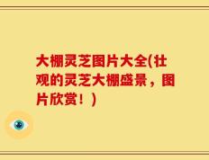 大棚灵芝图片大全(壮观的灵芝大棚盛景，图片欣赏！)