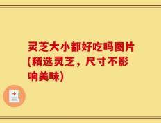 灵芝大小都好吃吗图片(精选灵芝，尺寸不影响美味)