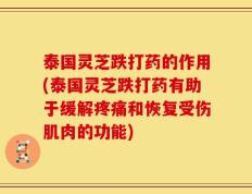 泰国灵芝跌打药的作用(泰国灵芝跌打药有助于缓解疼痛和恢复受伤肌肉的功能)