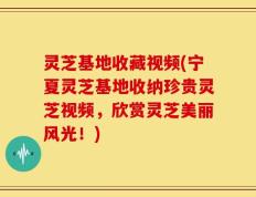 灵芝基地收藏视频(宁夏灵芝基地收纳珍贵灵芝视频，欣赏灵芝美丽风光！)