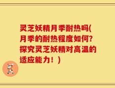 灵芝妖精月季耐热吗(月季的耐热程度如何？探究灵芝妖精对高温的适应能力！)