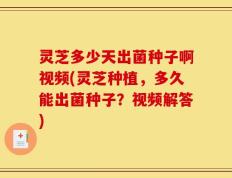 灵芝多少天出菌种子啊视频(灵芝种植，多久能出菌种子？视频解答)