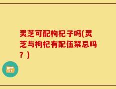 灵芝可配枸杞子吗(灵芝与枸杞有配伍禁忌吗？)