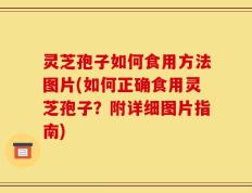 灵芝孢子如何食用方法图片(如何正确食用灵芝孢子？附详细图片指南)