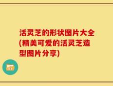 活灵芝的形状图片大全(精美可爱的活灵芝造型图片分享)