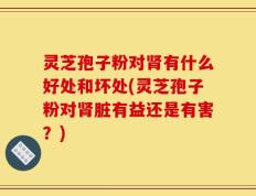灵芝孢子粉对肾有什么好处和坏处(灵芝孢子粉对肾脏有益还是有害？)