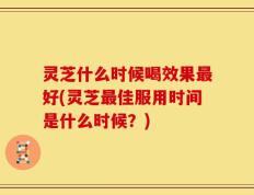 灵芝什么时候喝效果最好(灵芝最佳服用时间是什么时候？)