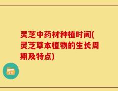 灵芝中药材种植时间(灵芝草本植物的生长周期及特点)