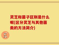 灵芝和菌子区别是什么呢(区分灵芝与其他菌类的方法简介)
