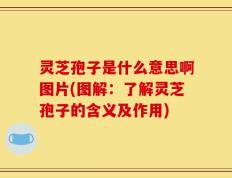 灵芝孢子是什么意思啊图片(图解：了解灵芝孢子的含义及作用)