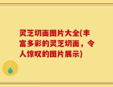 灵芝切面图片大全(丰富多彩的灵芝切面，令人惊叹的图片展示)