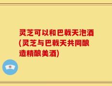 灵芝可以和巴戟天泡酒(灵芝与巴戟天共同酿造精酿美酒)