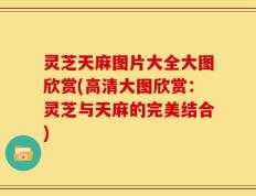 灵芝天麻图片大全大图欣赏(高清大图欣赏：灵芝与天麻的完美结合)