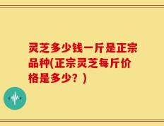 灵芝多少钱一斤是正宗品种(正宗灵芝每斤价格是多少？)