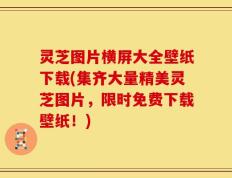 灵芝图片横屏大全壁纸下载(集齐大量精美灵芝图片，限时免费下载壁纸！)