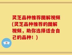 灵芝品种推荐图解视频(灵芝品种推荐的图解视频，助你选择适合自己的品种！)