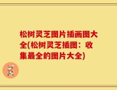 松树灵芝图片插画图大全(松树灵芝插图：收集最全的图片大全)