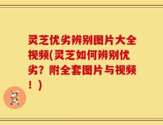 灵芝优劣辨别图片大全视频(灵芝如何辨别优劣？附全套图片与视频！)
