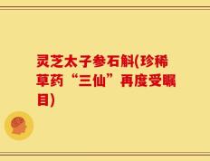 灵芝太子参石斛(珍稀草药“三仙”再度受瞩目)