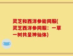灵芝和西洋参能同服(灵芝西洋参同服：一草一树共呈神仙体)