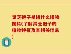 灵芝孢子是指什么植物图片(了解灵芝孢子的植物特征及其相关信息)