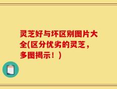 灵芝好与坏区别图片大全(区分优劣的灵芝，多图揭示！)
