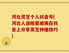 河北灵芝个人抖音号(河北人洛阳夏威夷在抖音上分享灵芝种植技巧)
