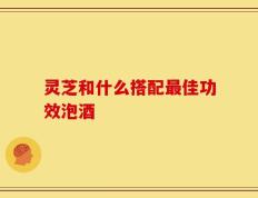 灵芝和什么搭配最佳功效泡酒