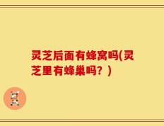 灵芝后面有蜂窝吗(灵芝里有蜂巢吗？)