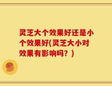 灵芝大个效果好还是小个效果好(灵芝大小对效果有影响吗？)