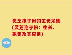 灵芝孢子粉的生长采集(灵芝孢子粉：生长、采集及其应用)