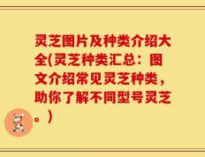 灵芝图片及种类介绍大全(灵芝种类汇总：图文介绍常见灵芝种类，助你了解不同型号灵芝。)