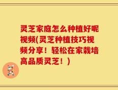 灵芝家庭怎么种植好呢视频(灵芝种植技巧视频分享！轻松在家栽培高品质灵芝！)