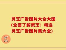 灵芝广告图片大全大图(全面了解灵芝：精选灵芝广告图片集大全)