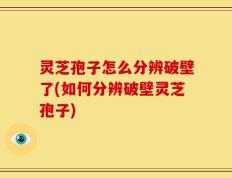 灵芝孢子怎么分辨破壁了(如何分辨破壁灵芝孢子)