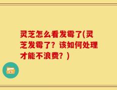 灵芝怎么看发霉了(灵芝发霉了？该如何处理才能不浪费？)