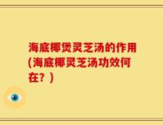 海底椰煲灵芝汤的作用(海底椰灵芝汤功效何在？)