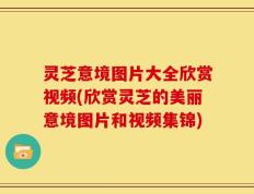 灵芝意境图片大全欣赏视频(欣赏灵芝的美丽意境图片和视频集锦)