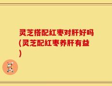 灵芝搭配红枣对肝好吗(灵芝配红枣养肝有益)