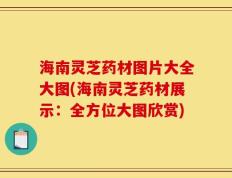 海南灵芝药材图片大全大图(海南灵芝药材展示：全方位大图欣赏)