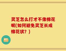 灵芝怎么打才不像棉花呢(如何避免灵芝长成棉花状？)