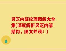 灵芝内部纹理图解大全集(深度解析灵芝内部结构，图文并茂！)