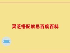灵芝搭配禁忌百度百科