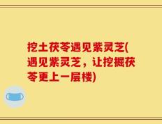 挖土茯苓遇见紫灵芝(遇见紫灵芝，让挖掘茯苓更上一层楼)