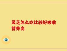 灵芝怎么吃比较好吸收营养高