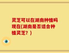 灵芝可以在湖南种植吗现在(湖南是否适合种植灵芝？)