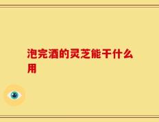泡完酒的灵芝能干什么用
