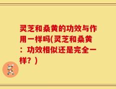 灵芝和桑黄的功效与作用一样吗(灵芝和桑黄：功效相似还是完全一样？)