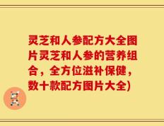 灵芝和人参配方大全图片灵芝和人参的营养组合，全方位滋补保健，数十款配方图片大全)