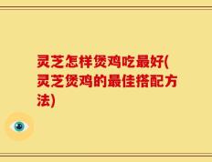灵芝怎样煲鸡吃最好(灵芝煲鸡的最佳搭配方法)